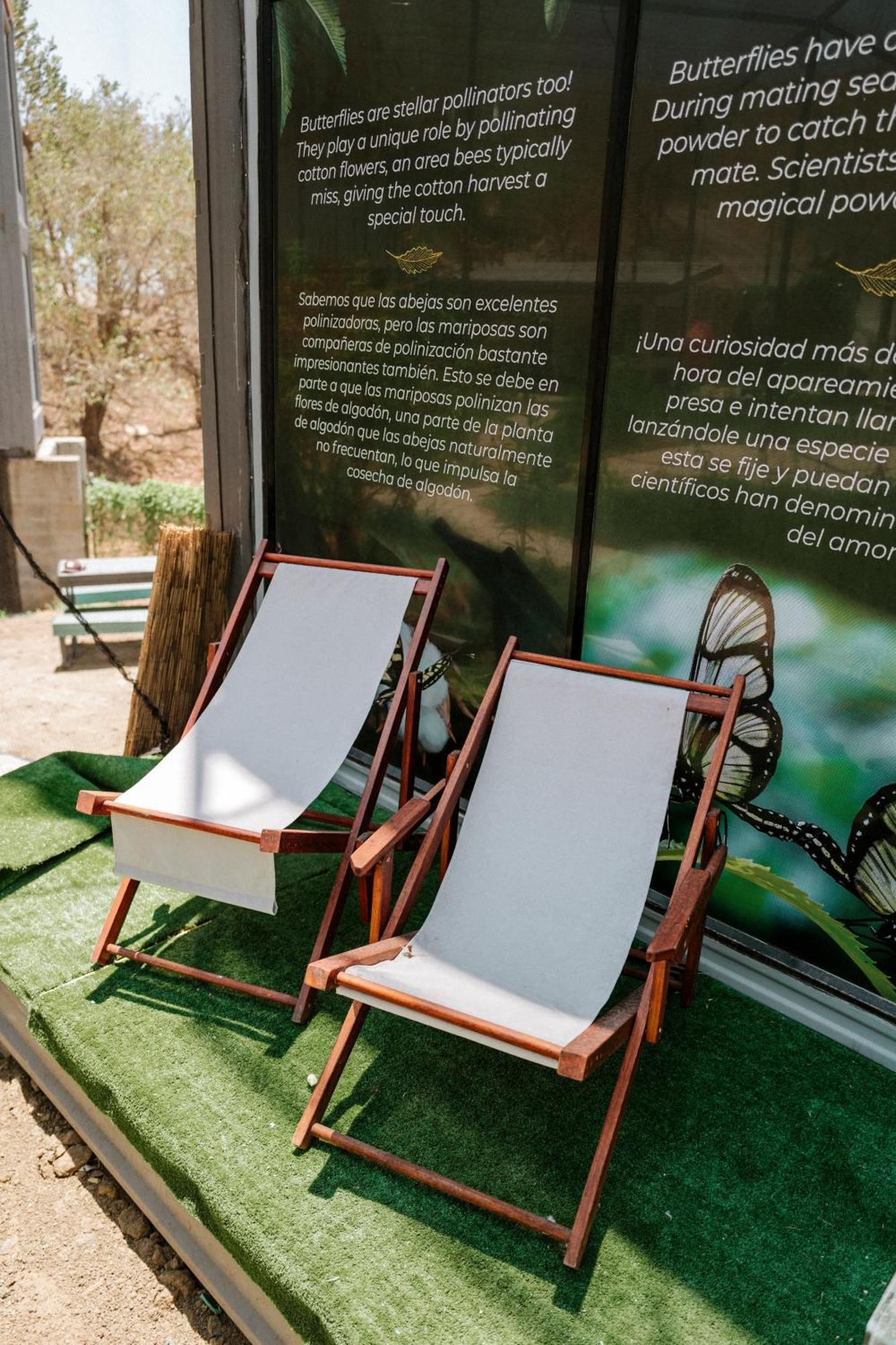 Pupa House - Capsule Hotel - Adults Only Tamarindo Ngoại thất bức ảnh